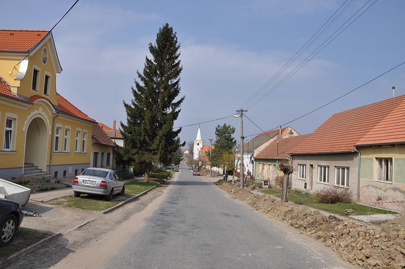 Vyklízení Suchohrdly u Miroslavi